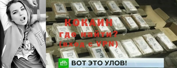 ГАЛЛЮЦИНОГЕННЫЕ ГРИБЫ Вязьма