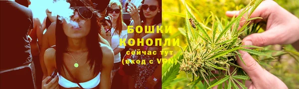 spice Вязники