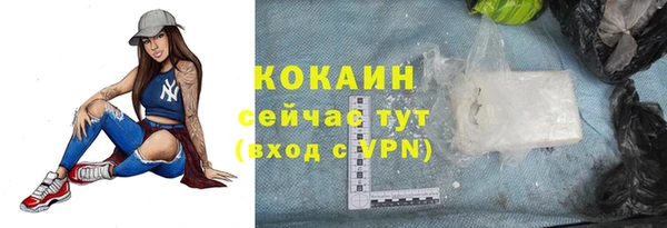 твердый Горно-Алтайск