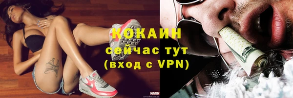 таблы Горняк