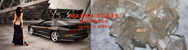 ГАЛЛЮЦИНОГЕННЫЕ ГРИБЫ Вязьма