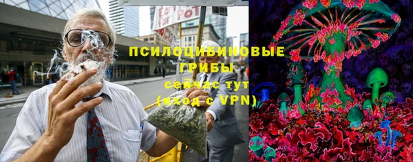 винт Вяземский