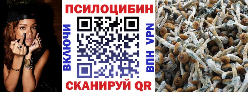 Купить где  Маркс  Псилоцибиновые грибы мицелий 