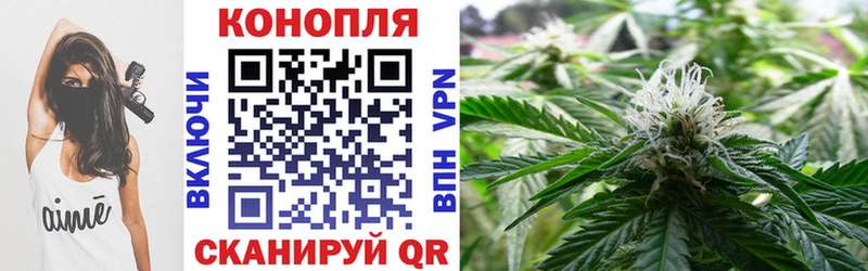 Марихуана сатива  Купить закладки  Маркс 